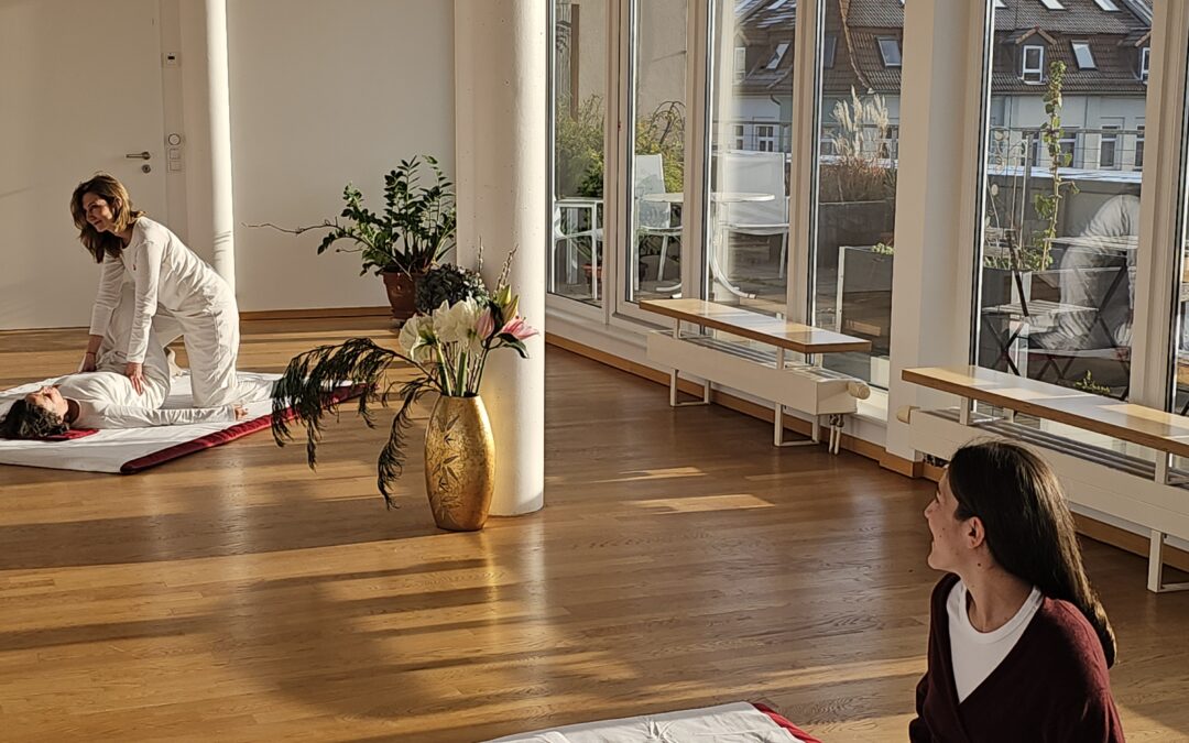 Perspektiven für dein Shiatsu